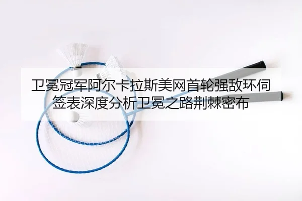 wei-mian-guan-jun-a-er-ka-la-si-mei-wang-shou-lun-qiang-di-huan-si-qian-biao-shen-du-fen-xi-wei-mian-zhi-lu-jing-ji-mi-2-885.jpg
